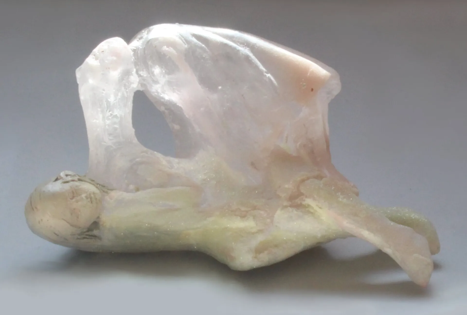 De nouvelles sculptures de créatures hybrides de verre et céramique de nouvelles sculptures de creatures hybrides de verre et ceramique par Christina Bothwell 8 reve de-nouvelles-sculptures-de-creatures-hybrides-de-verre-et-ceramique-par-Christina-Bothwell-8-reve