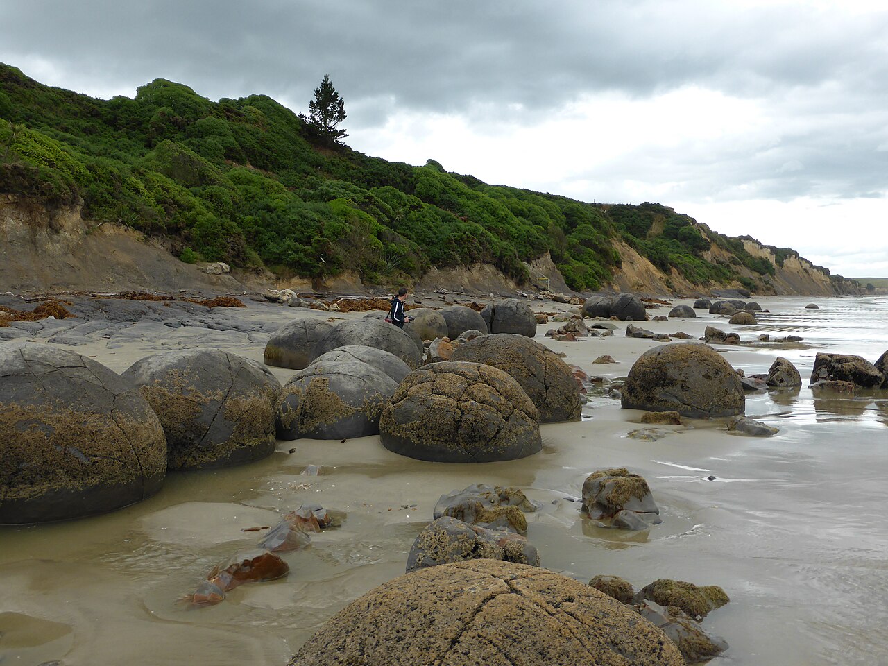 Moeraki Boulders dispersés sur Koekohe Beach, dans la région d’Otago en Nouvelle-Zélande Moeraki Boulders dispersés sur Koekohe Beach, dans la région d’Otago en Nouvelle-Zélande