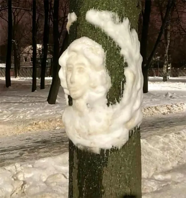Une artiste anonyme réalise des sculptures de neige sur des troncs d'arbres dans le parc Perovsky une artiste anonyme realise des sculptures sur des troncs d arbres dans le parc Perovsky moscou 13 une-artiste-anonyme-realise-des-sculptures-sur-des-troncs-d-arbres-dans-le-parc-Perovsky-moscou