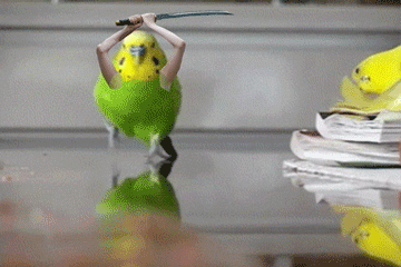 Des oiseaux avec des bras en GIF Des oiseaux avec des bras en GIF 13 Des-oiseaux-avec-des-bras-en-GIF