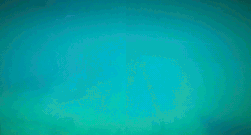 Des oiseaux avec des bras en GIF Des oiseaux avec des bras en GIF 21 Des-oiseaux-avec-des-bras-en-GIF