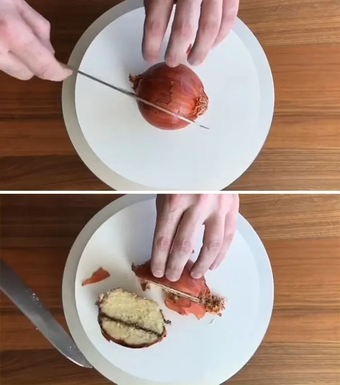 Les surprenants gâteaux en trompe l'oeil de Natalie Sideserf Les surprenants gateaux en trompe l oeil de Natalie Sideserf 2 oignon Les-surprenants-gateaux-en-trompe-l-oeil-de-Natalie-Sideserf-2-oignon