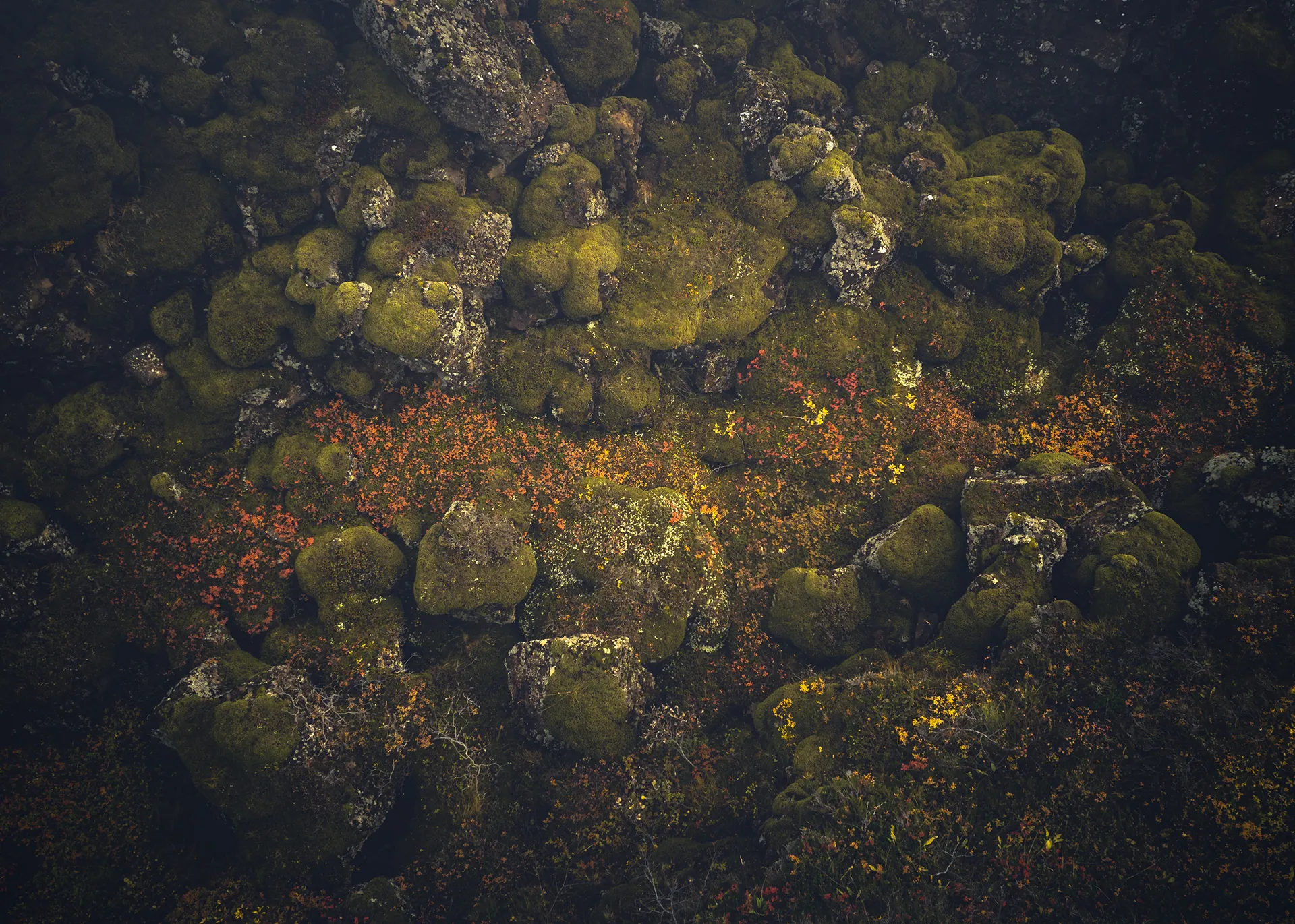 Raunveran - la beauté des rochers moussus et des arbres à l'automne vus du ciel Raunveran la beaute des rochers moussus et des arbres a l automne vus du ciel 1 Raunveran-la-beaute-des-rochers-moussus-et-des-arbres-a-l-automne-vus-du-ciel