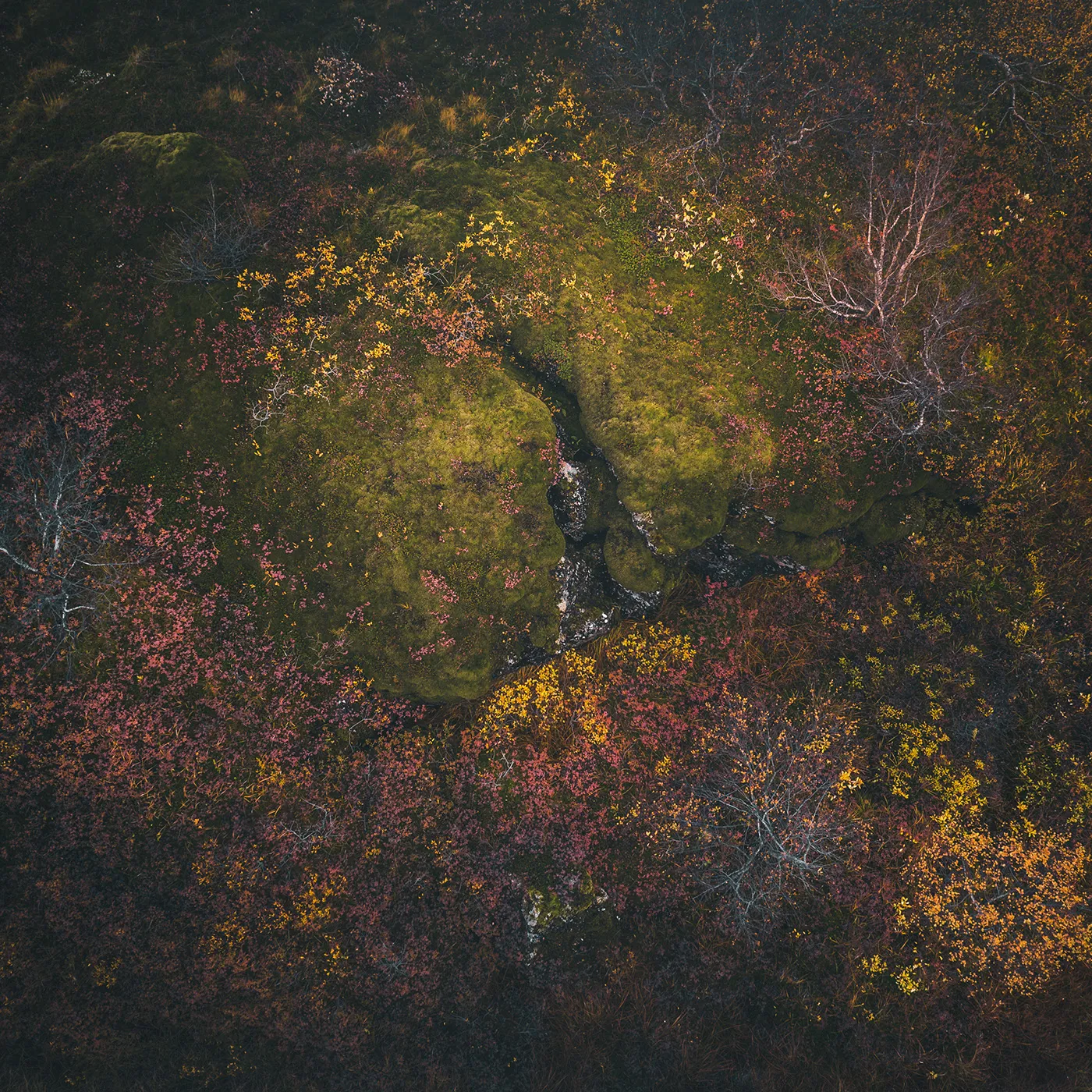 Raunveran - la beauté des rochers moussus et des arbres à l'automne vus du ciel Raunveran la beaute des rochers moussus et des arbres a l automne vus du ciel 5 Raunveran-la-beaute-des-rochers-moussus-et-des-arbres-a-l-automne-vus-du-ciel