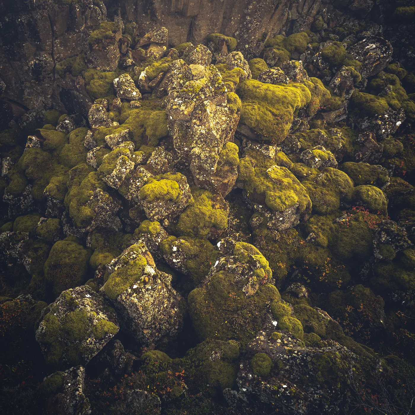 Raunveran - la beauté des rochers moussus et des arbres à l'automne vus du ciel Raunveran la beaute des rochers moussus et des arbres a l automne vus du ciel 6 Raunveran-la-beaute-des-rochers-moussus-et-des-arbres-a-l-automne-vus-du-ciel