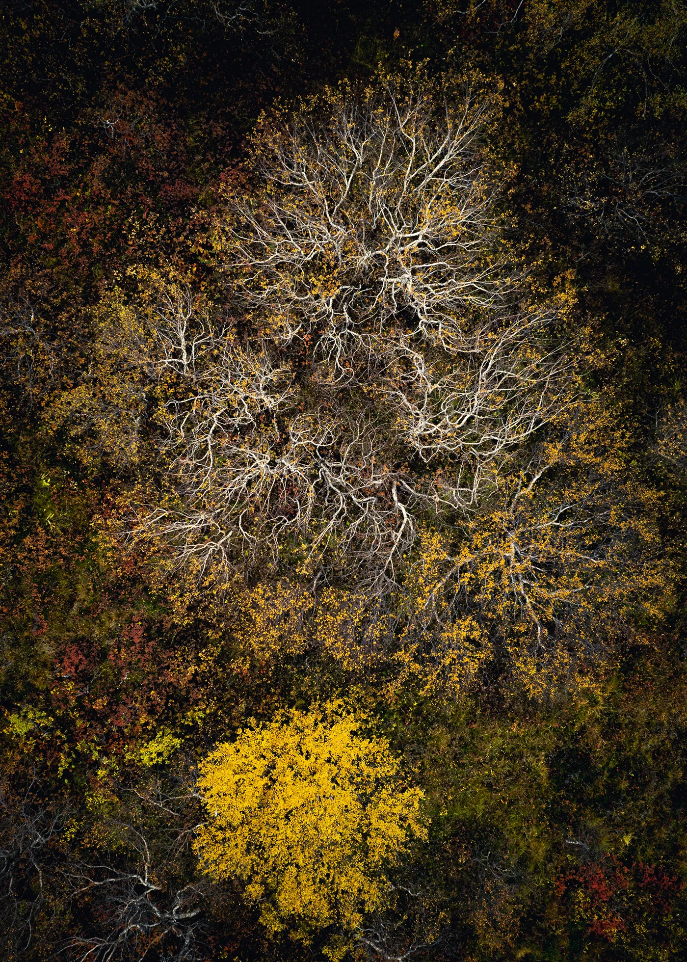 Raunveran - la beauté des rochers moussus et des arbres à l'automne vus du ciel Raunveran la beaute des rochers moussus et des arbres a l automne vus du ciel 7 Raunveran-la-beaute-des-rochers-moussus-et-des-arbres-a-l-automne-vus-du-ciel
