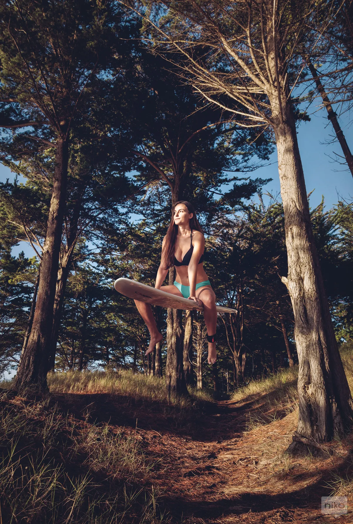 Woody Playground - du surf en forêt Woody Playground du surf en foret surrealiste arbres 9 Woody-Playground-du-surf-en-foret-surrealiste-arbres-9