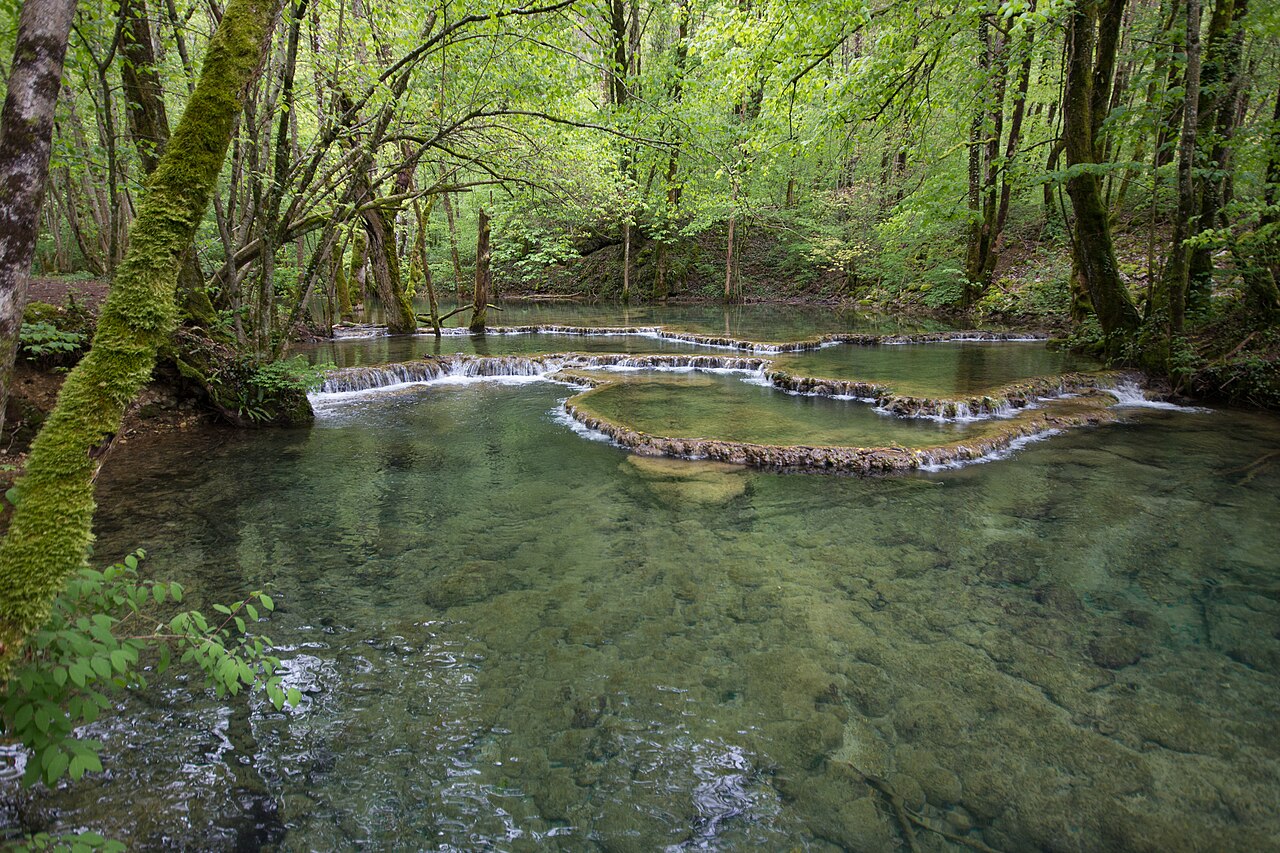 Bassins et barrages de tuf de la Cuisance avant la cascade des Tufs dans le Jura Bassins et barrages de tuf de la Cuisance avant la cascade des Tufs dans le Jura