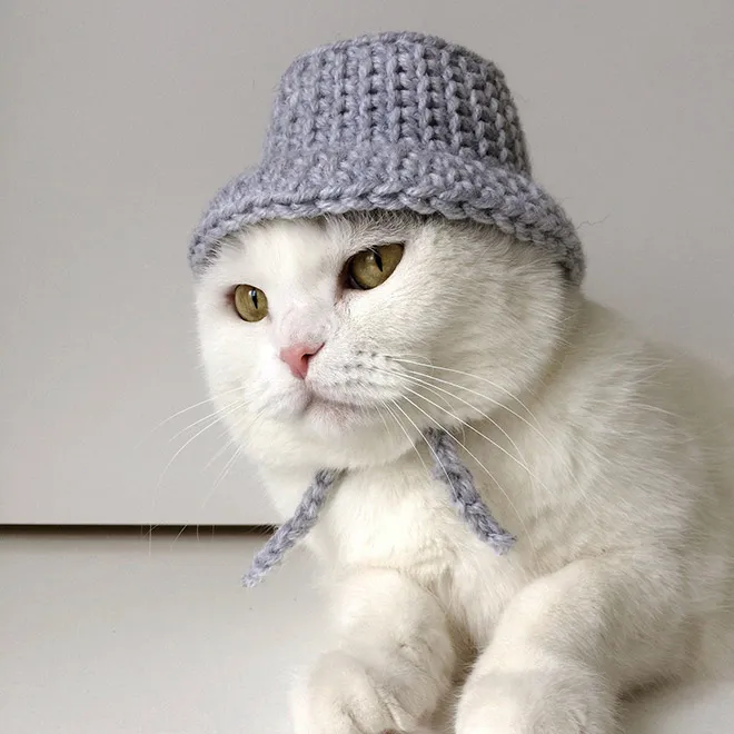21 bonnets pour chien et chat 21 bonnets pour chien et bonnets pour chat 6 21-bonnets-pour-chien-et-bonnets-pour-chat-6