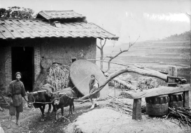 28 clichés de la vie en Chine à la fin du 19ème siècle et au début du 20ème siècle 28 cliches de la vie en Chine a la fin du 19eme siecle et au debut du 20eme siecle william charles white 28 28-cliches-de-la-vie-en-Chine-a-la-fin-du-19eme-siecle-et-au-debut-du-20eme-siecle-william-charles-white