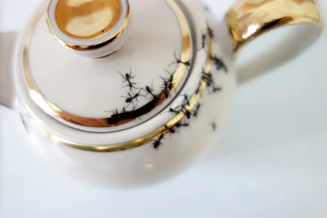 De la vaisselle avec des fourmis par Evelyn Bracklow De la vaisselle avec des fourmis par Evelyn Bracklow 12 De-la-vaisselle-avec-des-fourmis-par-Evelyn-Bracklow-12