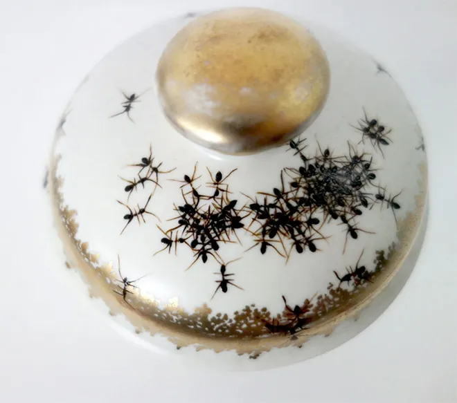 De la vaisselle avec des fourmis par Evelyn Bracklow De la vaisselle avec des fourmis par Evelyn Bracklow 9 De-la-vaisselle-avec-des-fourmis-par-Evelyn-Bracklow-9