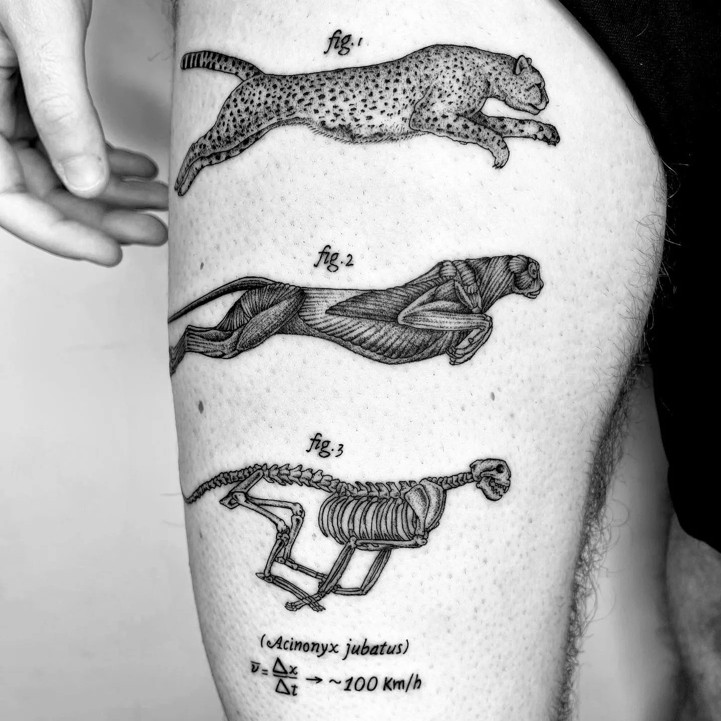 De nouveaux tatouages scientifiques et bizarres par Michele Volpi De nouveaux tatouages scientifiques et bizarres par Michele Volpi 13 De-nouveaux-tatouages-scientifiques-et-bizarres-par-Michele-Volpi