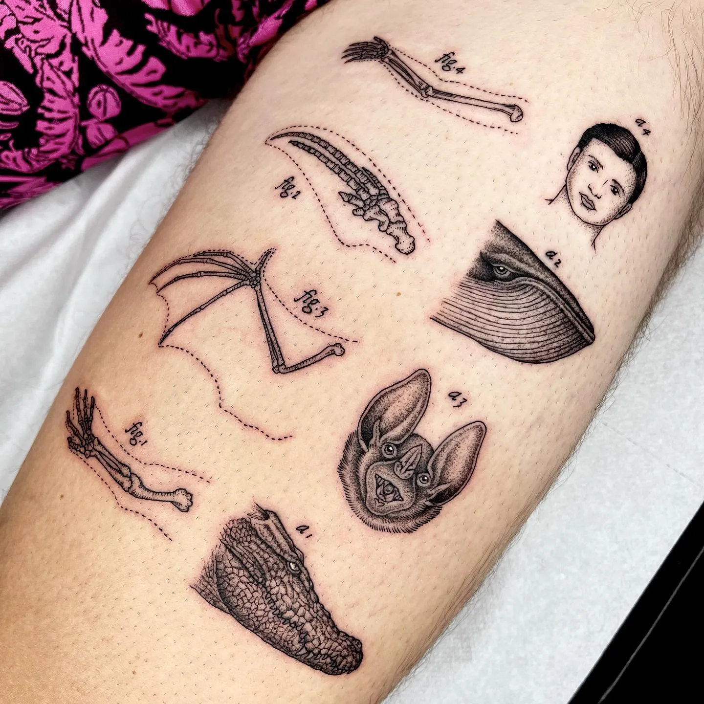 De nouveaux tatouages scientifiques et bizarres par Michele Volpi De nouveaux tatouages scientifiques et bizarres par Michele Volpi 14 De-nouveaux-tatouages-scientifiques-et-bizarres-par-Michele-Volpi