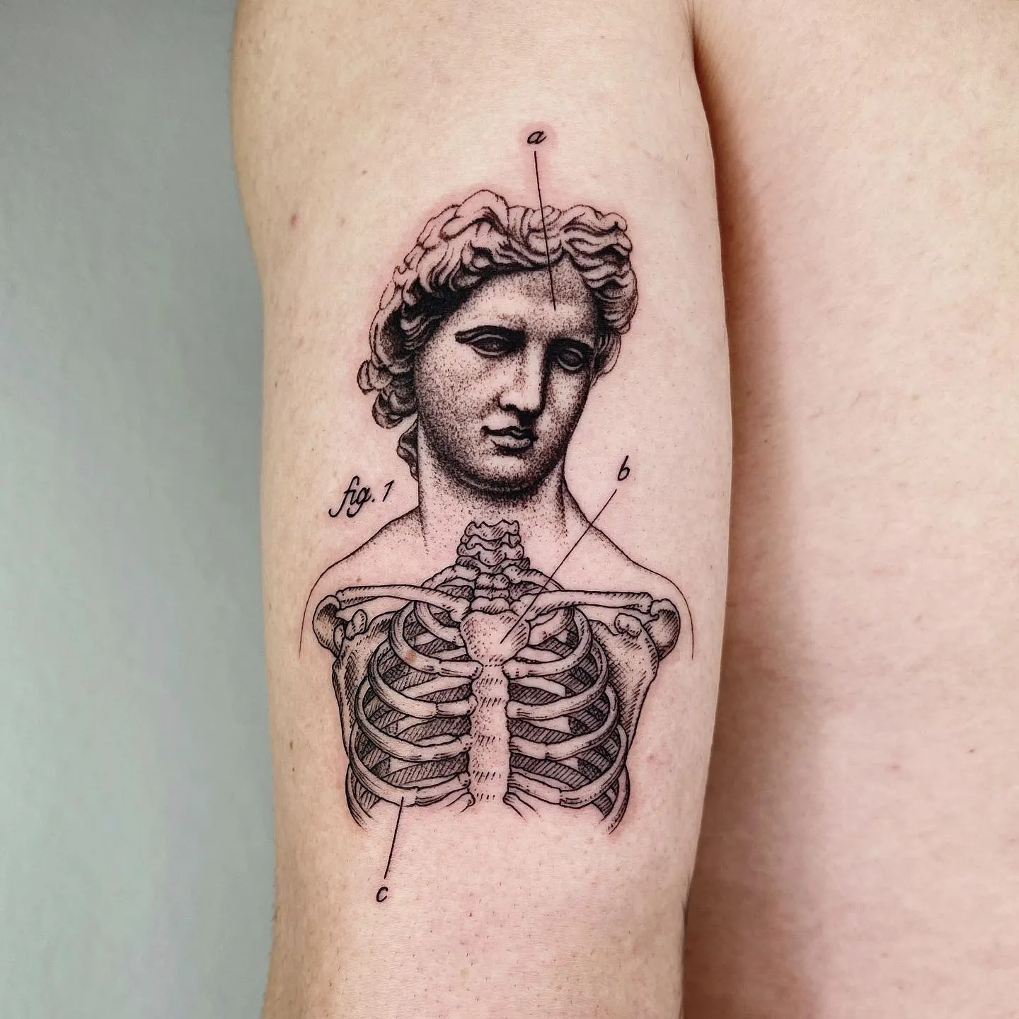 De nouveaux tatouages scientifiques et bizarres par Michele Volpi De nouveaux tatouages scientifiques et bizarres par Michele Volpi 17 De-nouveaux-tatouages-scientifiques-et-bizarres-par-Michele-Volpi