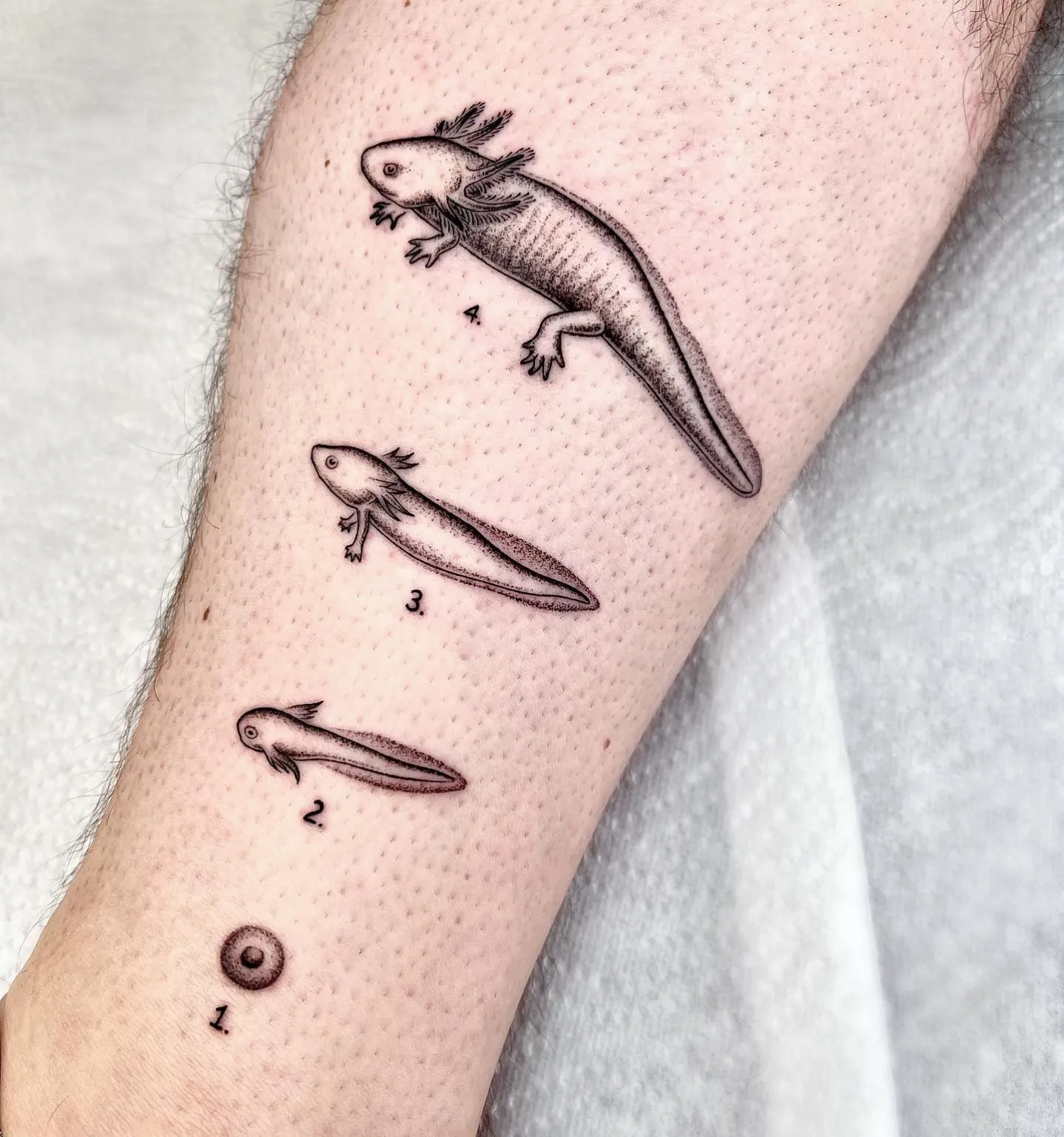 De nouveaux tatouages scientifiques et bizarres par Michele Volpi De nouveaux tatouages scientifiques et bizarres par Michele Volpi 18 De-nouveaux-tatouages-scientifiques-et-bizarres-par-Michele-Volpi