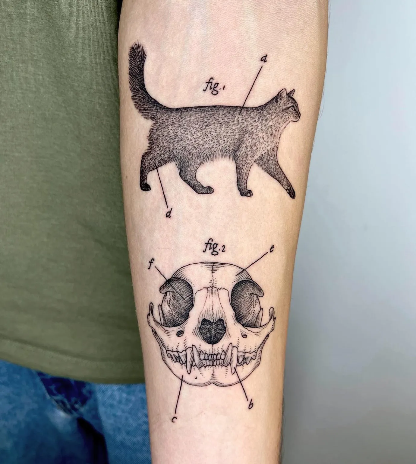 De nouveaux tatouages scientifiques et bizarres par Michele Volpi De nouveaux tatouages scientifiques et bizarres par Michele Volpi 20 De-nouveaux-tatouages-scientifiques-et-bizarres-par-Michele-Volpi
