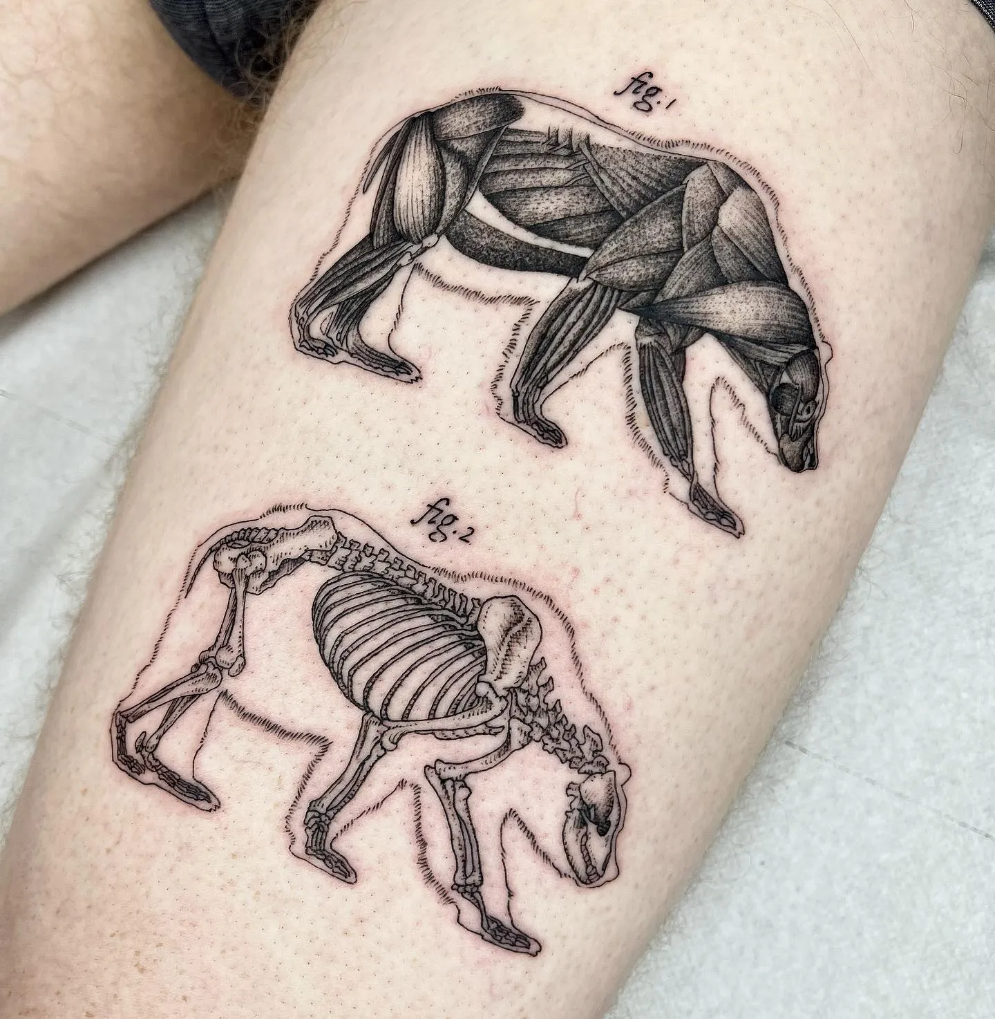 De nouveaux tatouages scientifiques et bizarres par Michele Volpi De nouveaux tatouages scientifiques et bizarres par Michele Volpi 5 De-nouveaux-tatouages-scientifiques-et-bizarres-par-Michele-Volpi