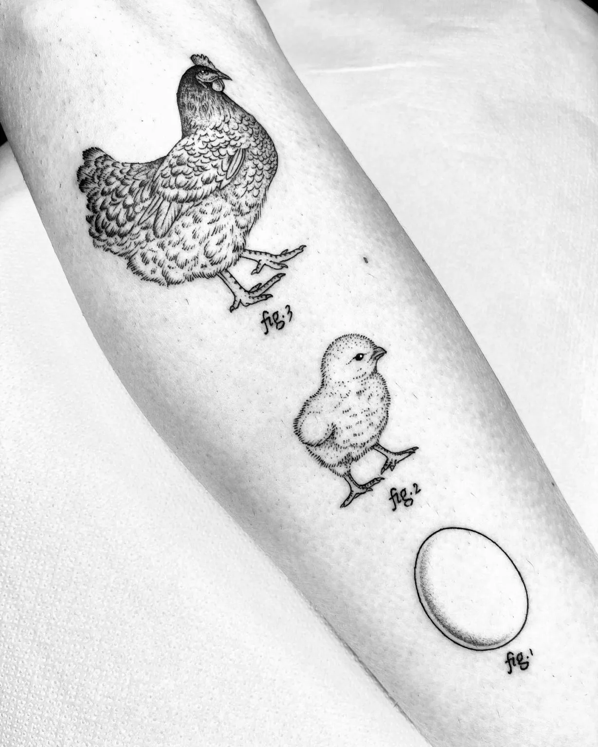 De nouveaux tatouages scientifiques et bizarres par Michele Volpi De nouveaux tatouages scientifiques et bizarres par Michele Volpi 6 De-nouveaux-tatouages-scientifiques-et-bizarres-par-Michele-Volpi