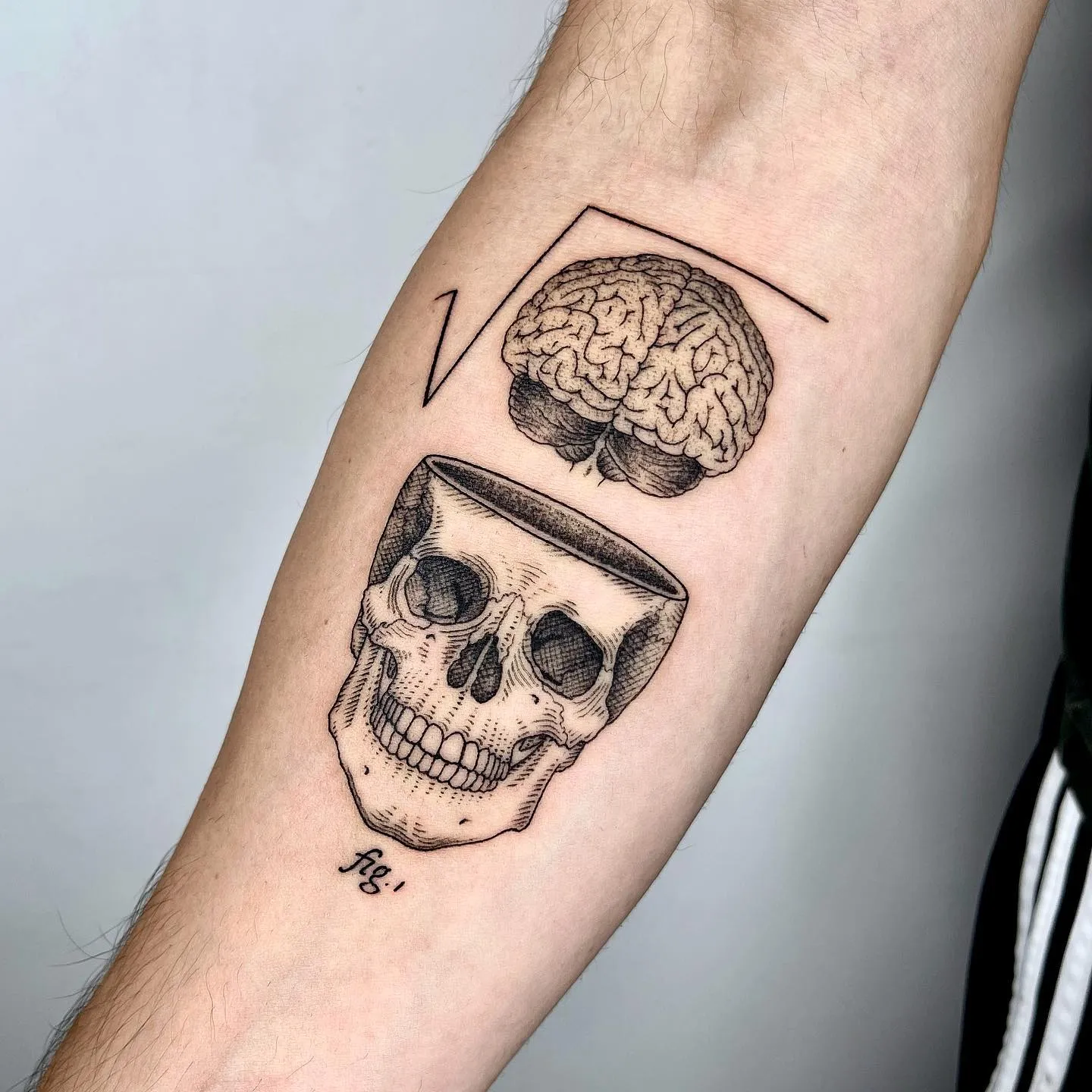 De nouveaux tatouages scientifiques et bizarres par Michele Volpi De nouveaux tatouages scientifiques et bizarres par Michele Volpi 9 De-nouveaux-tatouages-scientifiques-et-bizarres-par-Michele-Volpi