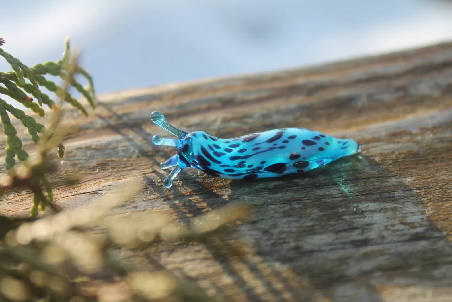 De nouvelles bestioles de verre par Glass Symphony De nouvelles bestioles de verre par Glass Symphony 10 De-nouvelles-bestioles-de-verre-par-Glass-Symphony