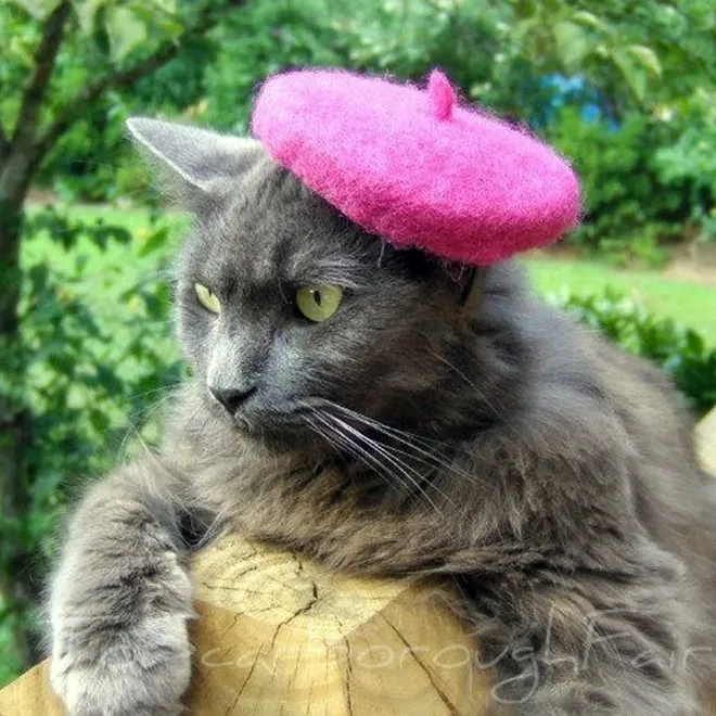 Des chapeaux pour chat par Amélie Segarceanu Des chapeaux pour chat par Amelie Segarceanu 10 Des-chapeaux-pour-chat-par-Amelie-Segarceanu