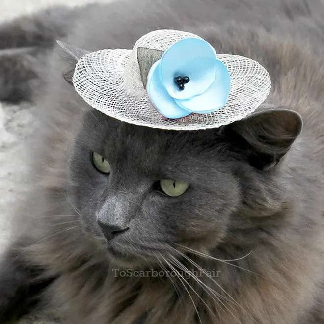 Des chapeaux pour chat par Amélie Segarceanu Des chapeaux pour chat par Amelie Segarceanu 15 Des-chapeaux-pour-chat-par-Amelie-Segarceanu