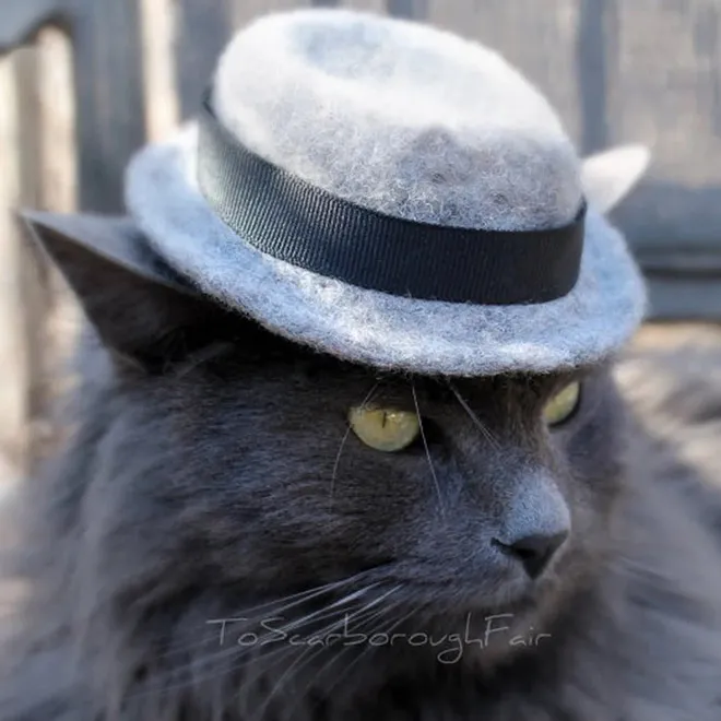 Des chapeaux pour chat par Amélie Segarceanu Des chapeaux pour chat par Amelie Segarceanu 2 Des-chapeaux-pour-chat-par-Amelie-Segarceanu