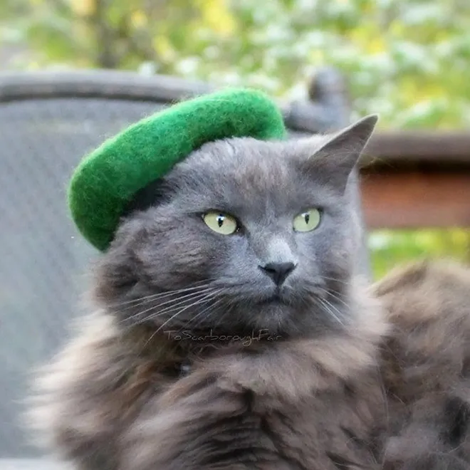 Des chapeaux pour chat par Amélie Segarceanu Des chapeaux pour chat par Amelie Segarceanu 4 Des-chapeaux-pour-chat-par-Amelie-Segarceanu