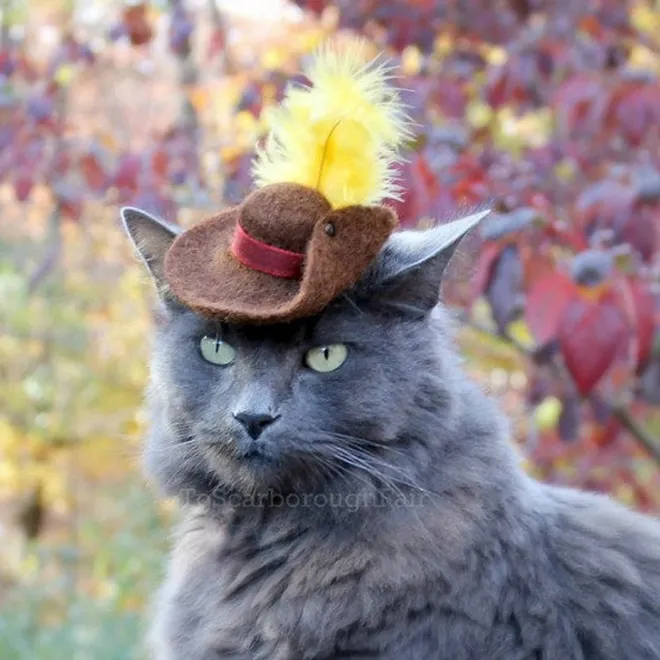 Des chapeaux pour chat par Amélie Segarceanu Des chapeaux pour chat par Amelie Segarceanu 5 Des-chapeaux-pour-chat-par-Amelie-Segarceanu