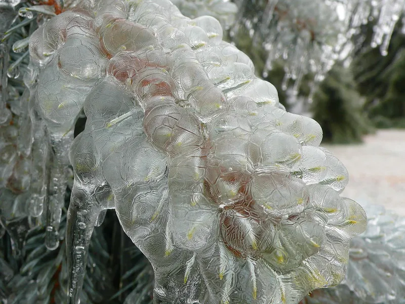 30 démonstrations de la beauté dévastatrice d'une tempête de verglas La beaute devastatrice d une tempete de verglas gel glace 11 La-beaute-devastatrice-d-une-tempete-de-verglas-gel-glace-11