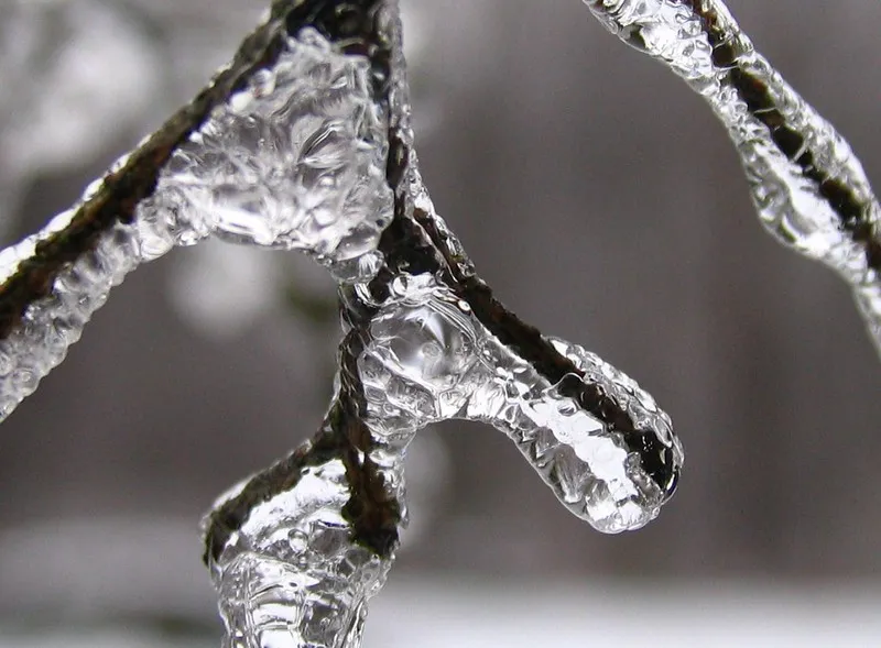 30 démonstrations de la beauté dévastatrice d'une tempête de verglas La beaute devastatrice d une tempete de verglas gel glace 12 La-beaute-devastatrice-d-une-tempete-de-verglas-gel-glace-12