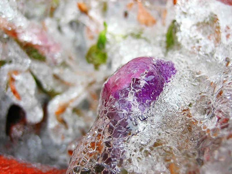 30 démonstrations de la beauté dévastatrice d'une tempête de verglas La beaute devastatrice d une tempete de verglas gel glace 25 La-beaute-devastatrice-d-une-tempete-de-verglas-gel-glace-25
