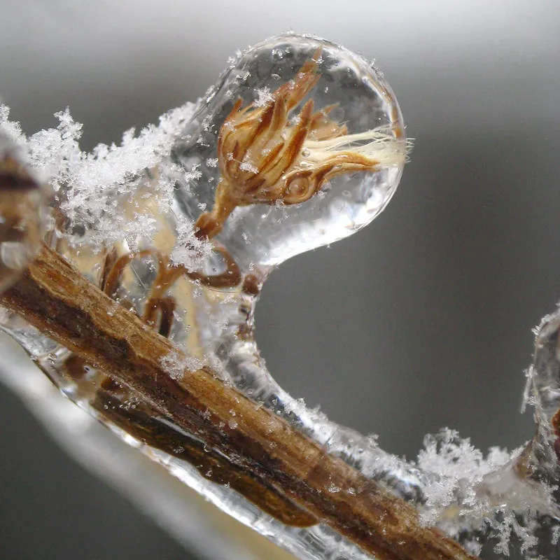 30 démonstrations de la beauté dévastatrice d'une tempête de verglas La beaute devastatrice d une tempete de verglas gel glace 3 La-beaute-devastatrice-d-une-tempete-de-verglas-gel-glace-3