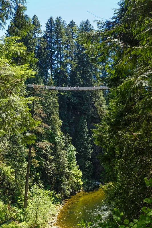 Le pont suspendu de Capilano en Colombie Britannique Le pont suspendu de Capilano en Colombie Britannique vancouver canada 3 Le-pont-suspendu-de-Capilano-en-Colombie-Britannique-vancouver-canada-3