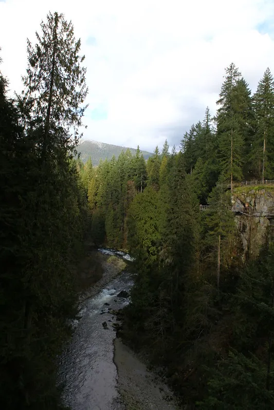 Le pont suspendu de Capilano en Colombie Britannique Le pont suspendu de Capilano en Colombie Britannique vancouver canada 5 Le-pont-suspendu-de-Capilano-en-Colombie-Britannique-vancouver-canada-5