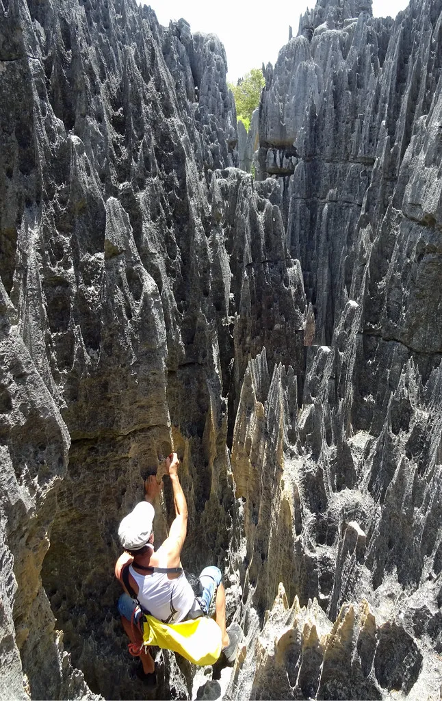 Les Tsingy de Bemaraha, une forêt d'aiguilles de pierre Les Tsingy de Bemaraha une foret d aiguilles de pierre madagascar 10 Les-Tsingy-de-Bemaraha-une-foret-d-aiguilles-de-pierre-madagascar-10