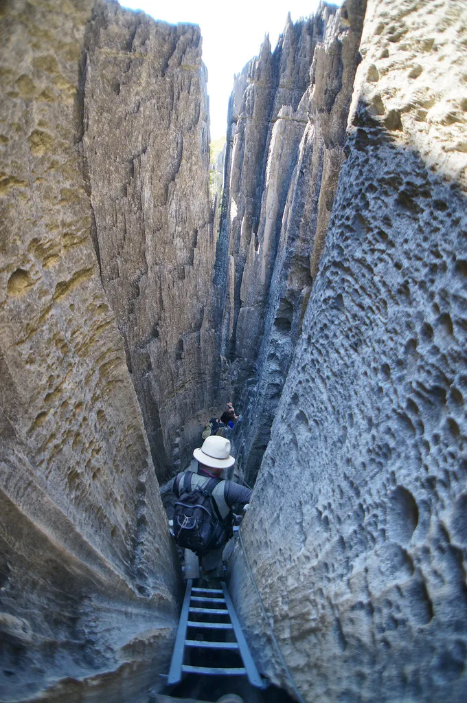 Les Tsingy de Bemaraha, une forêt d'aiguilles de pierre Les Tsingy de Bemaraha une foret d aiguilles de pierre madagascar 11 Les-Tsingy-de-Bemaraha-une-foret-d-aiguilles-de-pierre-madagascar-11