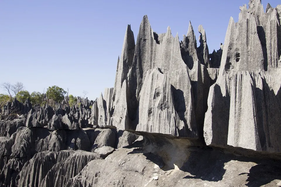 Les Tsingy de Bemaraha, une forêt d'aiguilles de pierre Les Tsingy de Bemaraha une foret d aiguilles de pierre madagascar 14 Les-Tsingy-de-Bemaraha-une-foret-d-aiguilles-de-pierre-madagascar-14