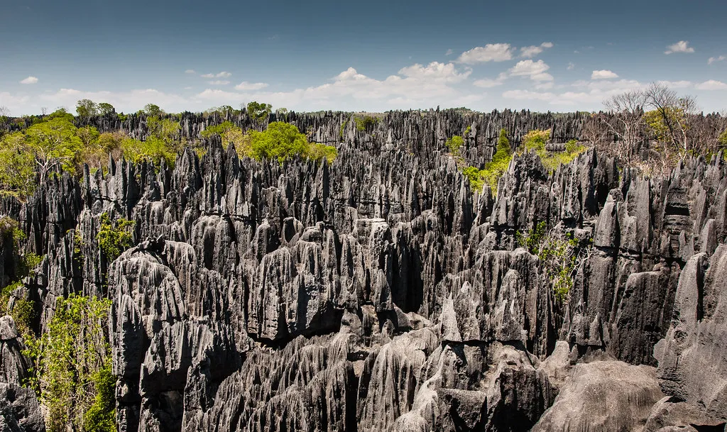 Les Tsingy de Bemaraha, une forêt d'aiguilles de pierre Les Tsingy de Bemaraha une foret d aiguilles de pierre madagascar 3 Les-Tsingy-de-Bemaraha-une-foret-d-aiguilles-de-pierre-madagascar-3