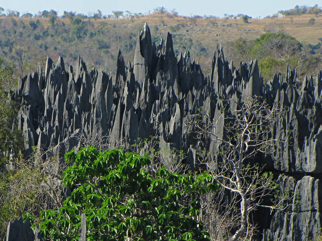 Les Tsingy de Bemaraha, une forêt d'aiguilles de pierre Les Tsingy de Bemaraha une foret d aiguilles de pierre madagascar 4 Les-Tsingy-de-Bemaraha-une-foret-d-aiguilles-de-pierre-madagascar-4
