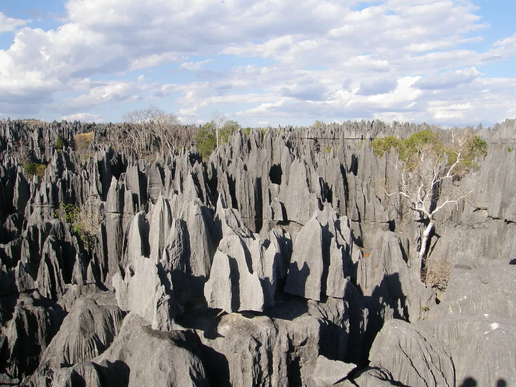Les Tsingy de Bemaraha, une forêt d'aiguilles de pierre Les Tsingy de Bemaraha une foret d aiguilles de pierre madagascar 5 Les-Tsingy-de-Bemaraha-une-foret-d-aiguilles-de-pierre-madagascar-5