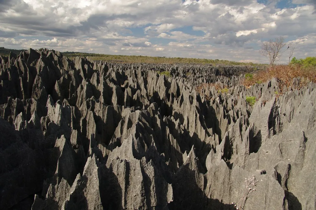 Les Tsingy de Bemaraha, une forêt d'aiguilles de pierre Les Tsingy de Bemaraha une foret d aiguilles de pierre madagascar 6 Les-Tsingy-de-Bemaraha-une-foret-d-aiguilles-de-pierre-madagascar-6