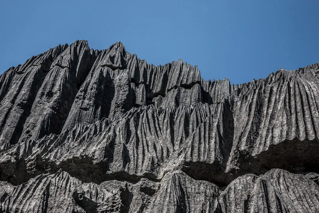 Les Tsingy de Bemaraha, une forêt d'aiguilles de pierre Les Tsingy de Bemaraha une foret d aiguilles de pierre madagascar 8 Les-Tsingy-de-Bemaraha-une-foret-d-aiguilles-de-pierre-madagascar-8