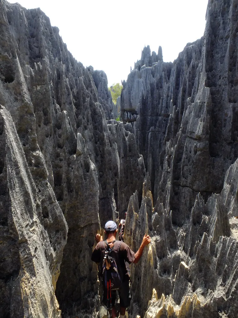 Les Tsingy de Bemaraha, une forêt d'aiguilles de pierre Les Tsingy de Bemaraha une foret d aiguilles de pierre madagascar 9 Les-Tsingy-de-Bemaraha-une-foret-d-aiguilles-de-pierre-madagascar-9
