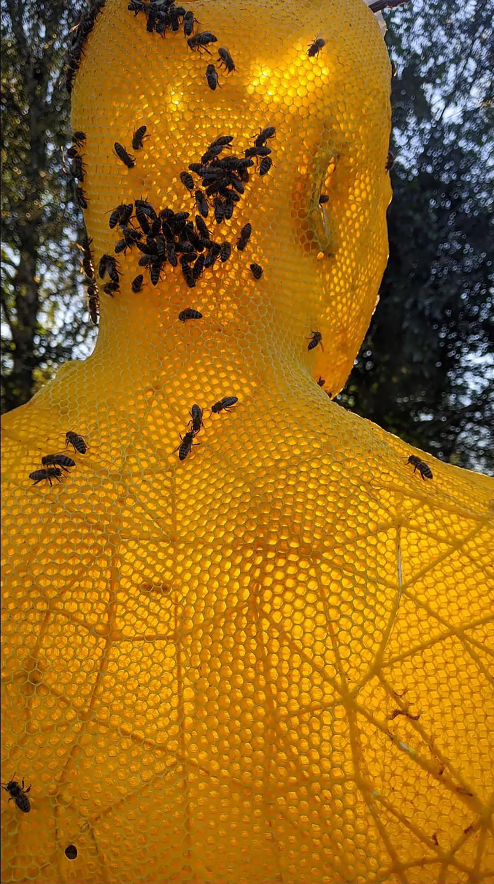 Made by bees - les sculptures par des abeilles de Tomáš Libertíny Made by bees les sculptures par des abeilles de Tomas Libertiny 14 Made-by-bees-les-sculptures-par-des-abeilles-de-Tomas-Libertiny