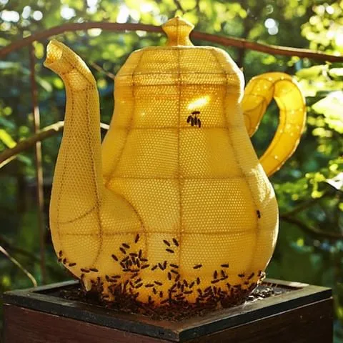 Made by bees - les sculptures par des abeilles de Tomáš Libertíny Made by bees les sculptures par des abeilles de Tomas Libertiny 4 Made-by-bees-les-sculptures-par-des-abeilles-de-Tomas-Libertiny