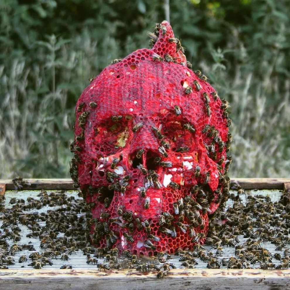 Made by bees - les sculptures par des abeilles de Tomáš Libertíny Made by bees les sculptures par des abeilles de Tomas Libertiny 7 Made-by-bees-les-sculptures-par-des-abeilles-de-Tomas-Libertiny