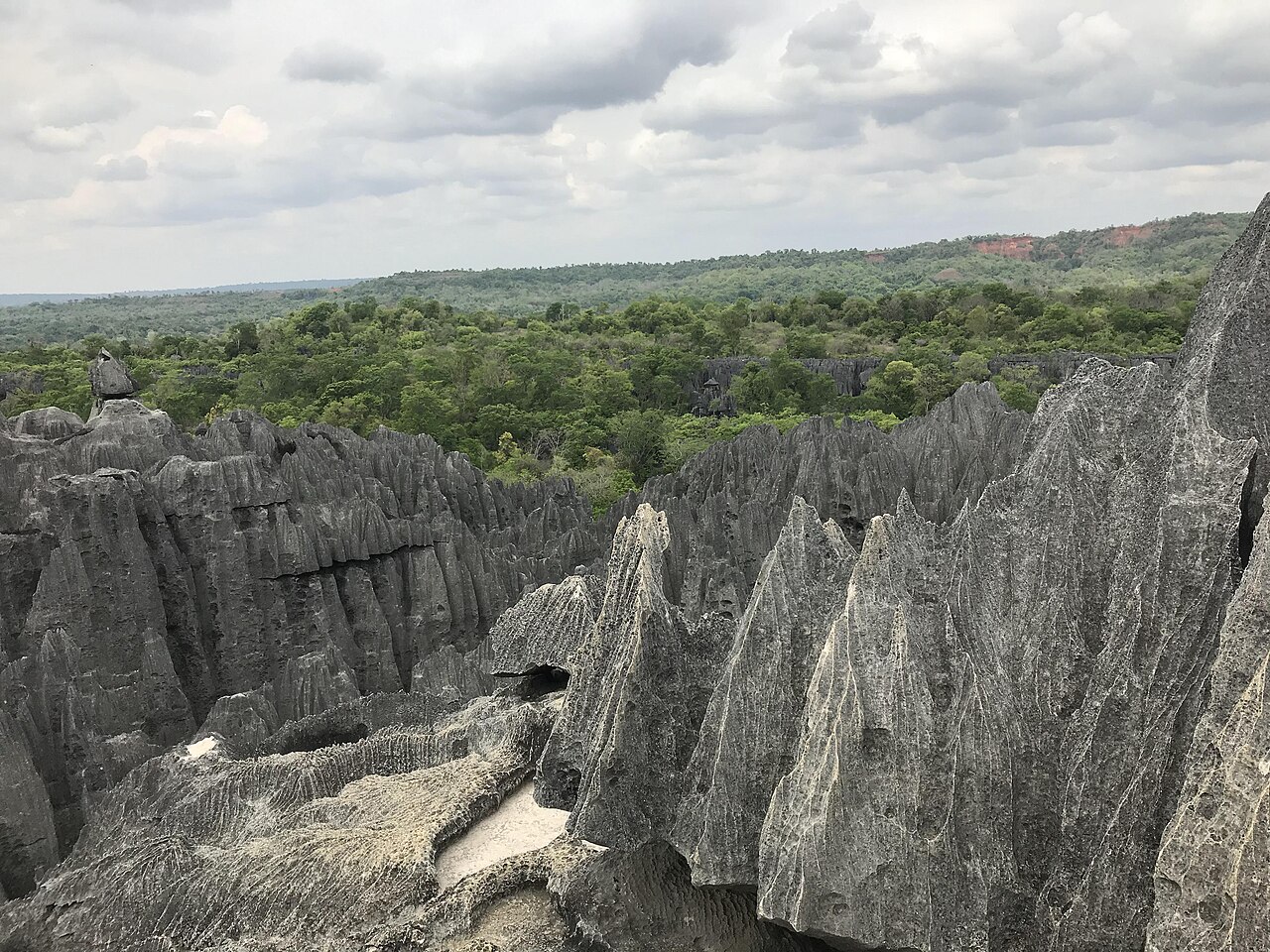 Tsingy de Bemaraha, forêt de pierre aux aiguilles calcaires de Madagascar Tsingy de Bemaraha, forêt de pierre aux aiguilles calcaires de Madagascar