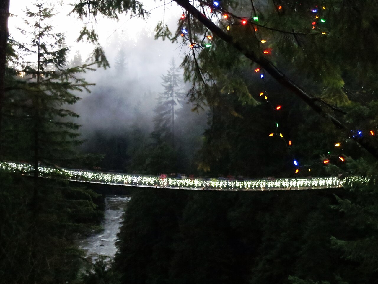 Pont suspendu de Capilano illuminé en hiver pour Canyon Lights Pont suspendu de Capilano illuminé en hiver pour Canyon Lights